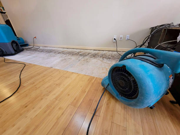 Professional Basement Flood Cleanup technician working in Buena Vista, VA